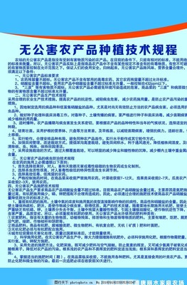 制度视角下的劳务派遣 灵活性与合法权益的平衡之道